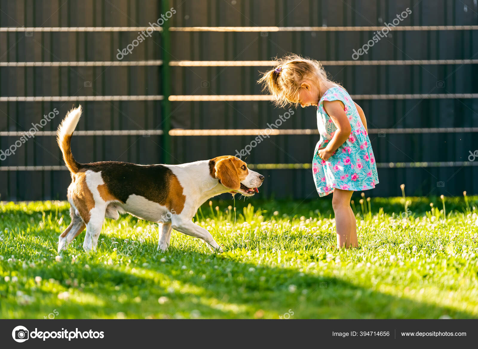 Cute Baby Girl A Puppy And A Baby Little Cute Baby Girl Playing