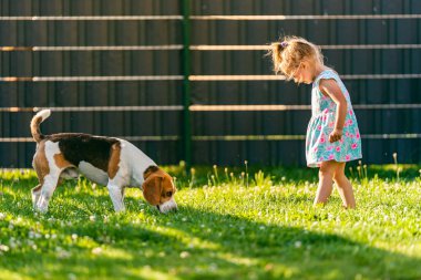 Küçük kız yaz günü arka bahçede av köpeğiyle dikiliyor. Çocuk konsepti olan evcil bir hayvan. 2-3 yaşlarında bir köpek..