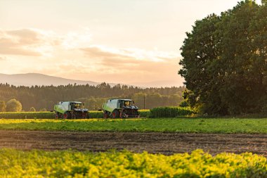 Büyük hasatçılar her yaz tarlada dikilen hasatçıları birleştirir..