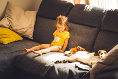Kanepede tatlı bir kızla köpek. Beagle tatlı bir kızın yanında yatıyor.