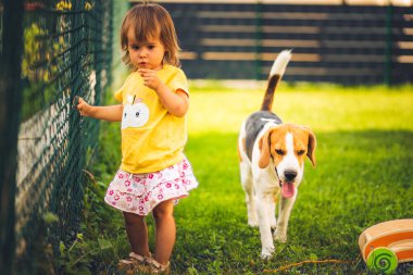 Arka bahçede güzel bir kızla av köpeği..