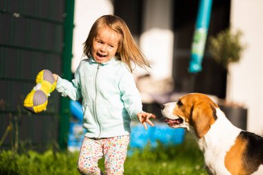 2-3 yaşlarında beyaz bir kız çocuğu bahçede av köpeğiyle oynuyor..