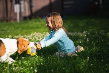 2-3 yaşlarında beyaz bir kız çocuğu bahçede av köpeğiyle oynuyor..