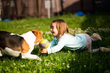 2-3 yaşlarında beyaz bir kız çocuğu bahçede av köpeğiyle oynuyor..