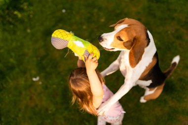 2-3 yaşlarında beyaz bir kız çocuğu bahçede av köpeğiyle oynuyor..