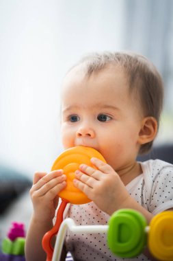 Bir yaşındaki bir bebek renkli eğitim programlarıyla yürüteç sürüyor..