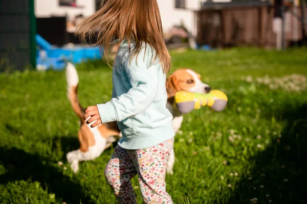 Молодая 2-3-летняя белая девочка играет с собакой в саду. — стоковое фото