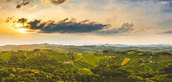 Dél Stájerország Szőlőültetvények Légi Panoráma Táj Közelében Gamlitz Ausztria Eckberg — Stock Fotó