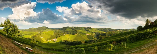 Vineyard Πανόραμα Μια Αυστριακή Ύπαιθρο Styrian Τοσκάνη Δρόμο Για Κρασί — Φωτογραφία Αρχείου