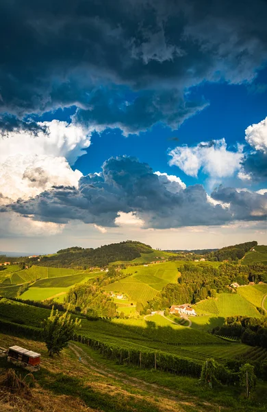 Viñedo Una Campiña Austriaca Estiria Toscana Ruta Del Vino Por —  Fotos de Stock