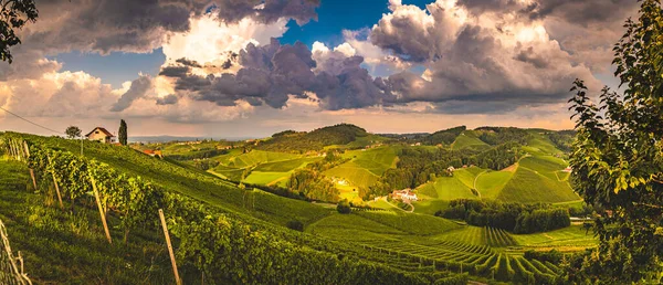 Weinberge Österreich Panorama Region Leibnitz Berühmtes Ziel Weinstraße Der Südsteiermark — Stockfoto