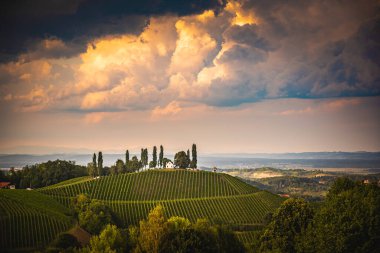 Avusturya kırsalında bir üzüm bağı, Styrian Tuscany. Güneye giden şarap yolu