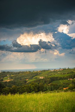 Avusturya kırsalında bir üzüm bağı, Styrian Tuscany. Güneye giden şarap yolu