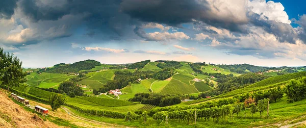 Panorama Del Vigneto Una Campagna Austriaca Stiria Toscana Strada Del — Foto Stock