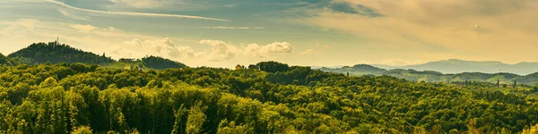 Pincészet Panoráma Dél Stájerországi Borút Ausztriában Híres Toszkán Mint Hely — Stock Fotó