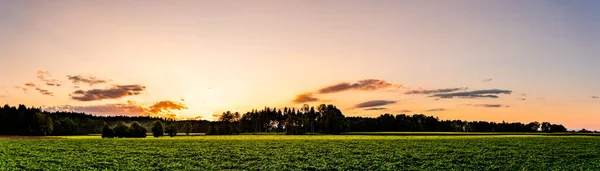 Himmelspanorama Bei Sonnenuntergang Über Dem Wald Mit Pastellfarbenem Himmel Und — Stockfoto