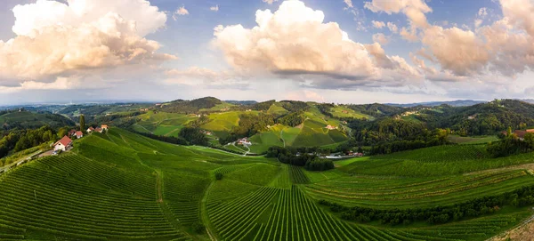 Vigneti Della Stiria Meridionale Panorama Aereo Paesaggio Vicino Gamlitz Austria — Foto Stock