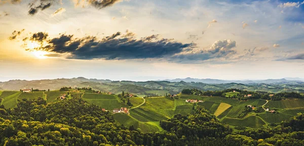 Splendido Tramonto Bellissimi Vigneti Verdi Tramonto Aereo Panoramico Sulle Colline — Foto Stock