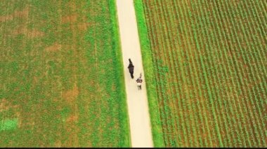 Kırsal bölgede at süren iki kızın arkasından hava takibi..