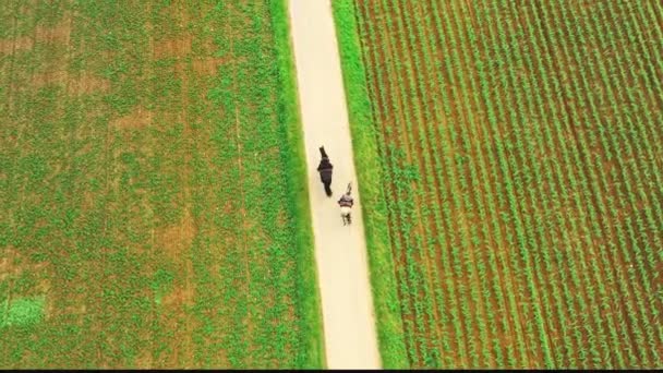 Flyg följa efter två flickor ridning hästar på landsbygden. — Stockvideo