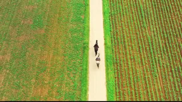 Aerial śledzić za dwie dziewczyny jazda konna na wsi. — Wideo stockowe