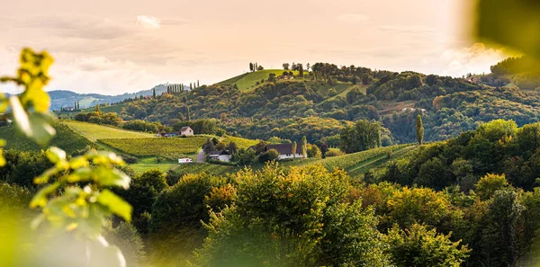 Weinberge Der Südsteiermark Herbstbeginn Österreich Toskana Wie Flecken — Stockfoto