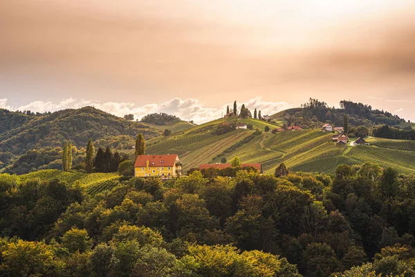 Виноградники Южной Штирии Начало Осени Австрийская Тоскана — стоковое фото