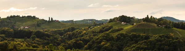 Weinbergpanorama Der Südsteiermark Herbstanfang Österreich Toskana Wie Flecken — Stockfoto