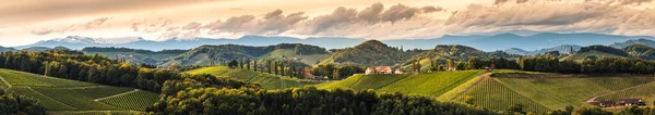 Panorama Vinícola Sul Estíria Início Outono Áustria Toscana Como Ponto — Fotografia de Stock