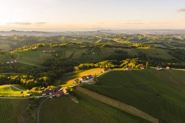 Güney Styria üzüm bağları üzüm tepelerindeki hava manzarası. Yazın şarap yolu. Turist beldesi, seyahat yeri.