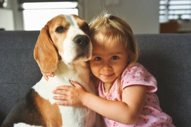 Parlak odada Beagle köpeğine sımsıkı sarılan çocuk. Kanepede beyaz, tatlı bir kız bebeği olan bir köpek. Köpek konsepti olan çocuk