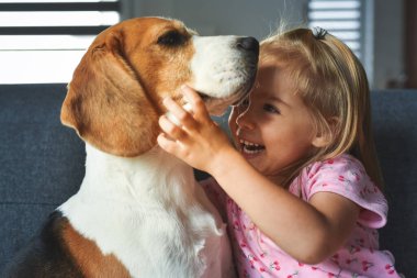 Parlak odada Beagle köpeğine sımsıkı sarılan çocuk. Kanepede beyaz, tatlı bir kız bebeği olan bir köpek. Köpek konsepti olan çocuk