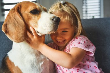 Parlak odada Beagle köpeğine sımsıkı sarılan çocuk. Kanepede beyaz, tatlı bir kız bebeği olan bir köpek. Köpek konsepti olan çocuk