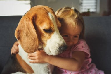 Parlak odada Beagle köpeğine sımsıkı sarılan çocuk. Kanepede beyaz, tatlı bir kız bebeği olan bir köpek. Köpek konsepti olan çocuk