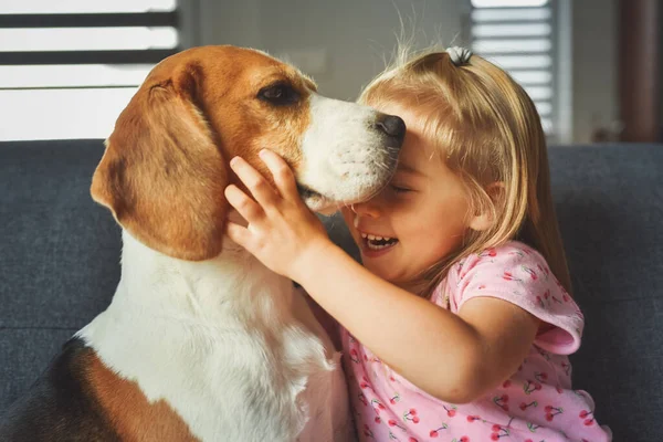 Dítě Pevně Objímající Psa Bígla Světlé Místnosti Pes Roztomilou Kavkazskou — Stock fotografie