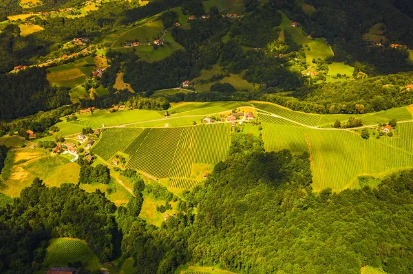 Aerial View Green Hills Vineyards Mountains Background Kitzeck Sausal Austria — Stock Photo, Image