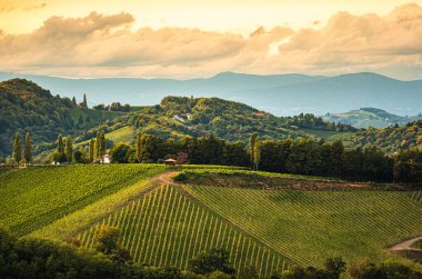 Styrian Tuscany Vineyard sonbaharda Eckberg, Gamliz, Styria, Avusturya yakınlarında. Şarap severler için turistik bir yer..