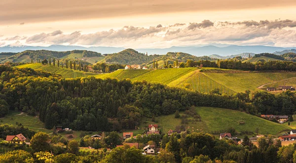 Stiria Toscana Vigneto Autunno Vicino Eckberg Gamliz Stiria Austria Località — Foto Stock