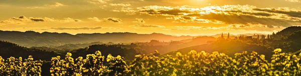 Sunset panorama of wine street on Slovenia, Austria border in Styria. Fields of grapevines and lush forests.