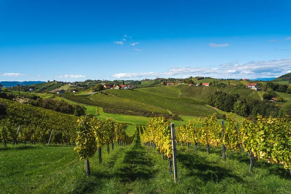 View Famous South Styrian Wine Street Ratsch Austria Tourism Grapevine — Stock Photo, Image