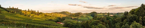 Sonnenuntergangspanorama Der Weinstraße Der Slowenischen Österreichischen Grenze Der Steiermark Felder — Stockfoto