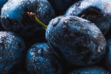 Islak Olgun Erikler su damlalarıyla kaplı, yakın plan.