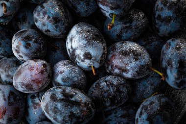 Islak Olgun Erikler su damlalarıyla kaplı, yakın plan.