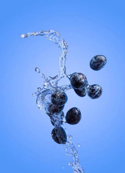 Isolated shot of plums splashing with water, isolated on blue background. — Stock Photo, Image