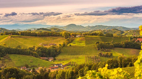 Paisaje viñedos del sur de Estiria, cerca de Gamlitz, Austria, Eckberg, Europa. Vista de las colinas de uva desde el camino del vino en otoño — Foto de Stock