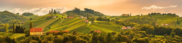 Südsteirische Weinbaulandschaft, bei Gamlitz, Österreich, Eckberg, Europa. Blick von der Weinstraße auf die Weinberge im Herbst — Stockfoto