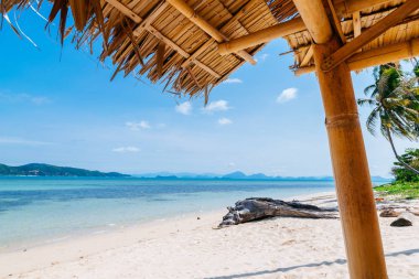 Samui Tayland plaj evler