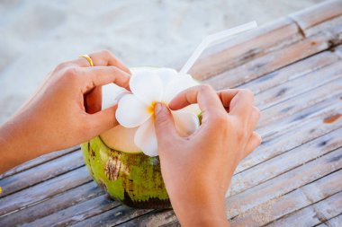 Hindistan cevizi beach Samui Tayland