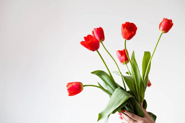 Tulipán rojo flor primavera floristería ramo de artesanía — Foto de Stock