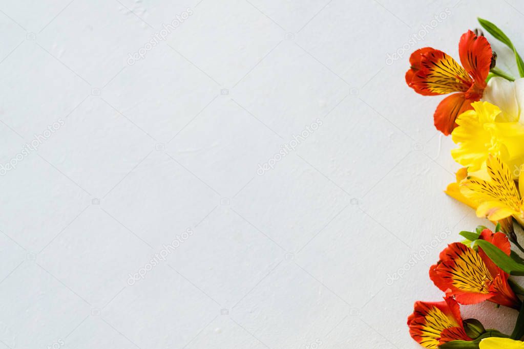 alstroemeria white background floral composition